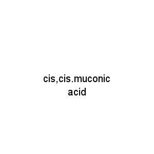 cis,cis.muconic acid